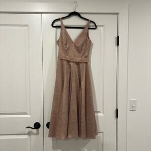 Dress The Population Women's Sleeveless Light Pink Shimmer‎ Gown Size XS